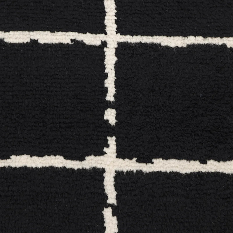 Paris Hand Knotted Area Rug in Black/White, Rectangle 3' x 5'