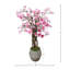 Magnolia en pot de pierre