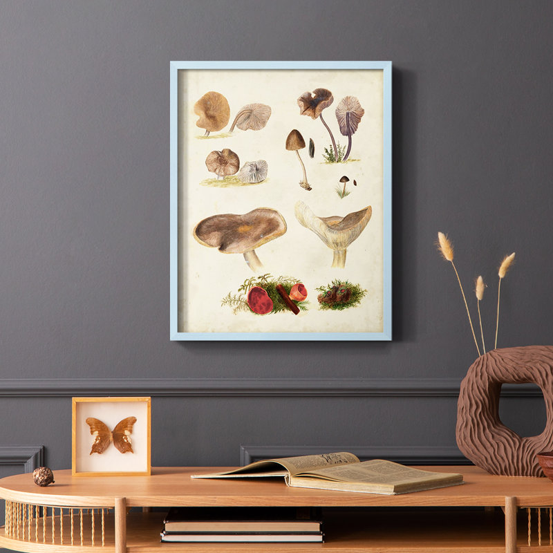 Reproduction encadrée Mushroom Species III - bois massif, Bleu, H 10 po x l 8 po
