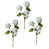 Blanc est en rupture de stock