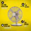 Oscillating Fan