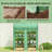 Spacious Mini Greenhouse,Portable Greenhouse-124615589