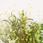 Branche de feuillage vert mélangé artificiel de 36 po pour remplissage de vase, branche de brindille de ferme pulvérise de longues feuilles en vrac pour des décorations de table de centre de table de bureau à domicile
