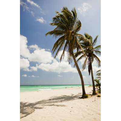 Palm Trees In Cuba by MmeEmil - Wrapped Canvas Print