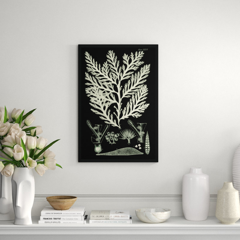 Seaweed Diagram IV Framed