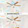 Dado 52'' Ceiling Fan with LED Lights