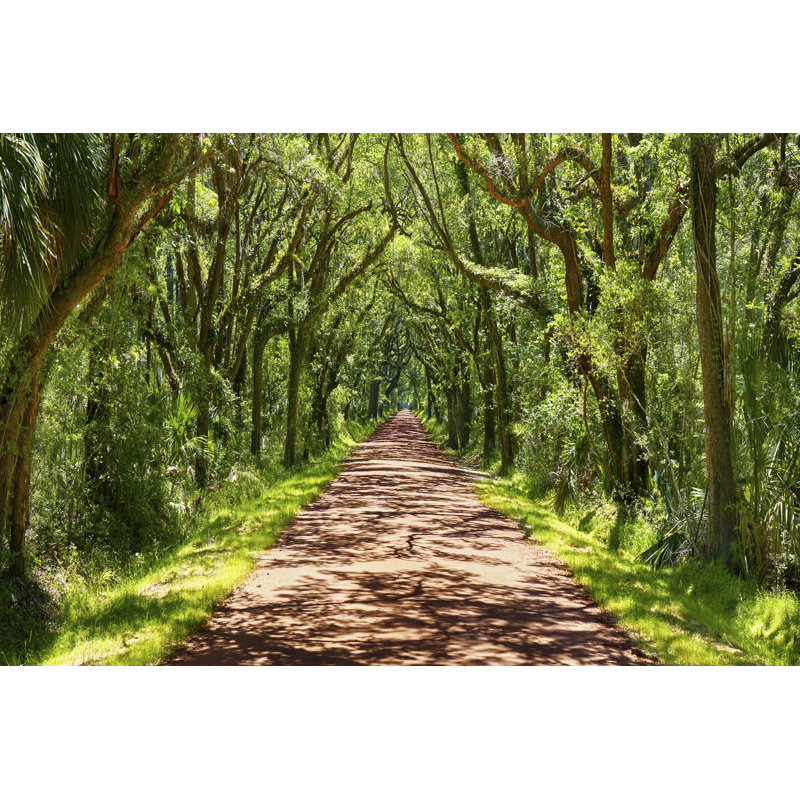 Country Road VII by James McLoughlin - Photograph, 20 cm H x 30 cm W, Wrapped Canvas