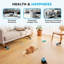Cat Toys