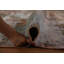 Tapis traditionnel délavé 10 x 14 po
