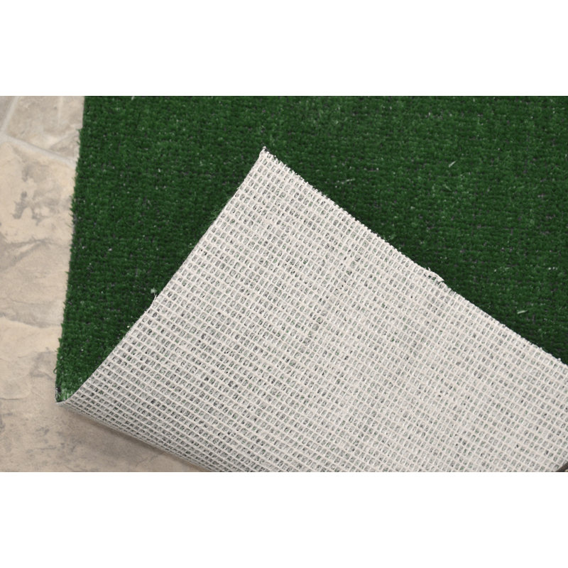 Tapis vert artificiel intérieur / extérieur en gazon adapté aux animaux de compagnie Anees, 4 pi x 6 pi