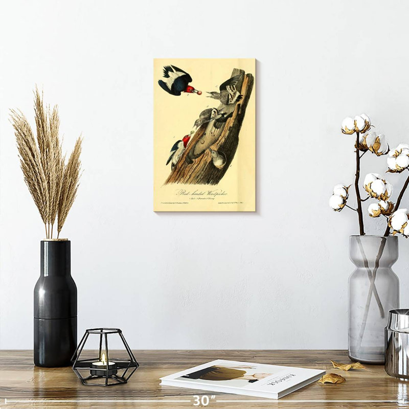 Pic à tête rouge Brampt d'oiseaux d'Amérique, H 12 po x l 8 po