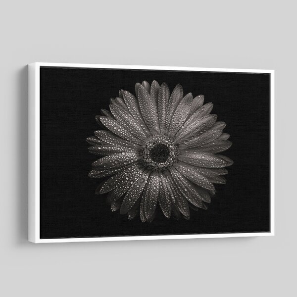 Ebern Designs Backyard Flowers in Black and White 71 by Brian Carson ...