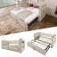 Upholstered Daybed with Trundle Bed-1529480113