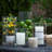 Glass Table Vase-540111707