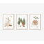 Ensemble de reproduction d'art Woodland - impressions sans cadre