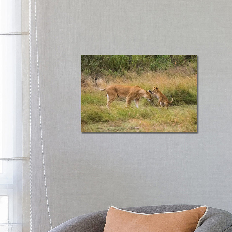 Africa, Kenya, Maasai Mara National Reserve Lion Cub Playing with Mother 1 Piece Wrapped Canvas Wall Art