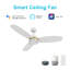 Ventilateur de plafond intelligent 48 po avec télécommande Fremont, ensemble d'éclairage inclus, fonctionne avec l'assistant Google et Amazon Alexa, raccourci Siri.