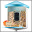 Mangeoire à oiseaux intelligente avec caméra HD 2K Identifier automatiquement les oiseaux-784550623