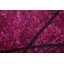 Fine Abstract Area Rug-20986482