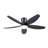 Flush Mount Ceiling Fans With Lights And Remote/app-1180975978-1180975980