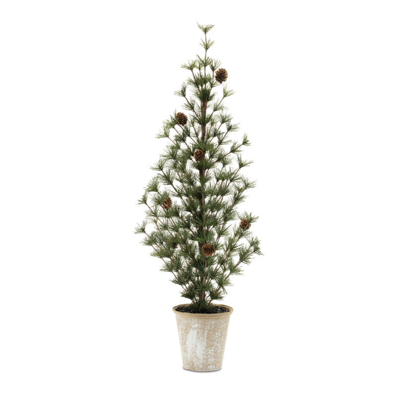Mini pin en pot (ensemble de 2)