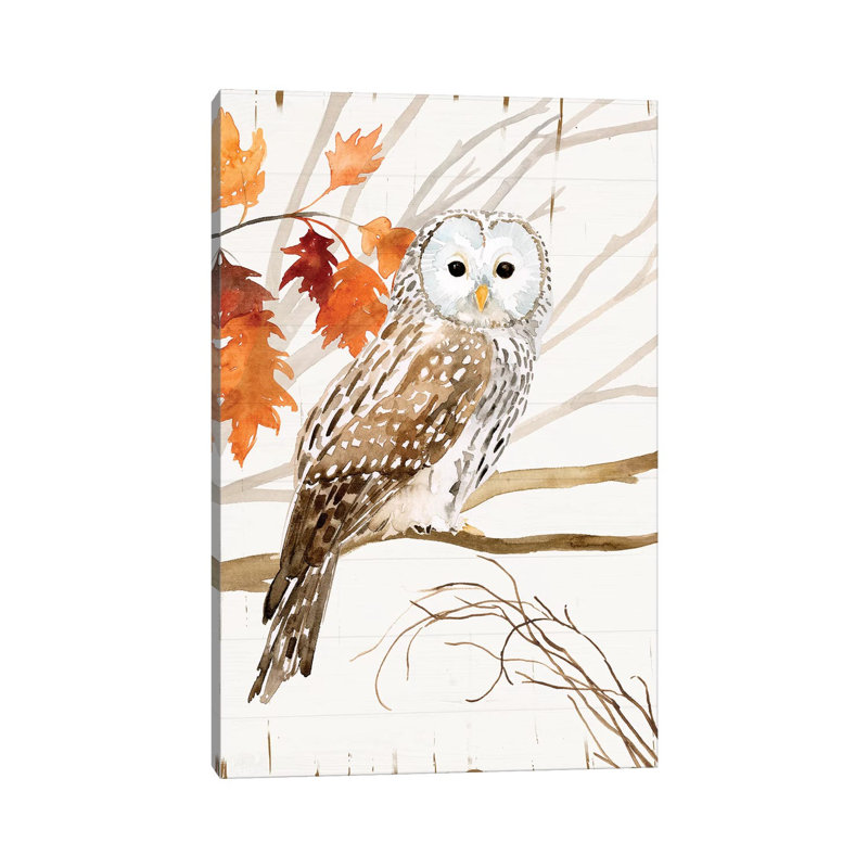 Harvest Owl I by Victoria Borges - Wrapped Canvas Gallery-Wrapped Canvas Giclée, 20.32 cm H x 30.48 cm W