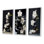 Ensemble de 3 pièces sur toile - zen sérénité fleurs blanches cairn pierre noire