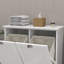 Armoire de trieur de linge à deux compartiments inclinable