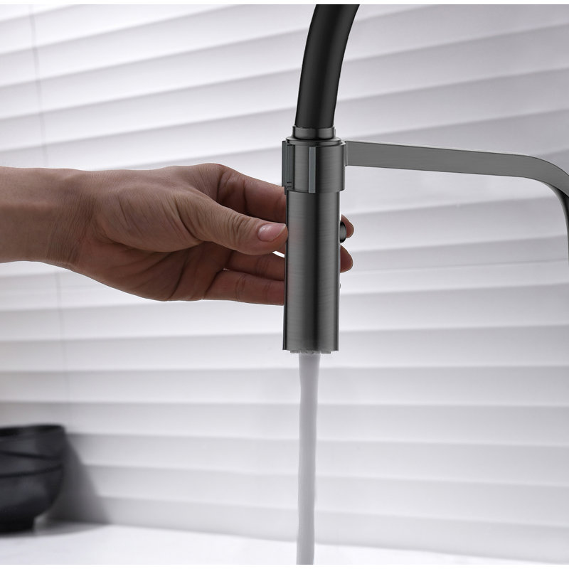 Belfry Kitchen Gabilan Pull Down Kitchen Faucet
