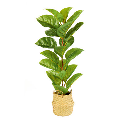 66cm Faux Tree in Basket