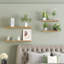 Sugden 2 Piece Floating Shelf