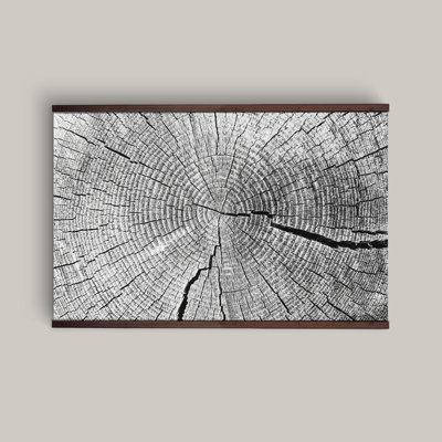 Tree Ring Wall Tapestry – Nature-Inspired Canvas Print with Wooden Hanger