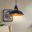 Luminaire suspendu industriel à hauteur de poulie et lampe à suspendre avec interrupteur, noir