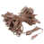 Brown is out of stock selected
