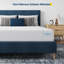 Anely 14 cm foam mattress with 7-zone support layer made of natural sponge-891542764