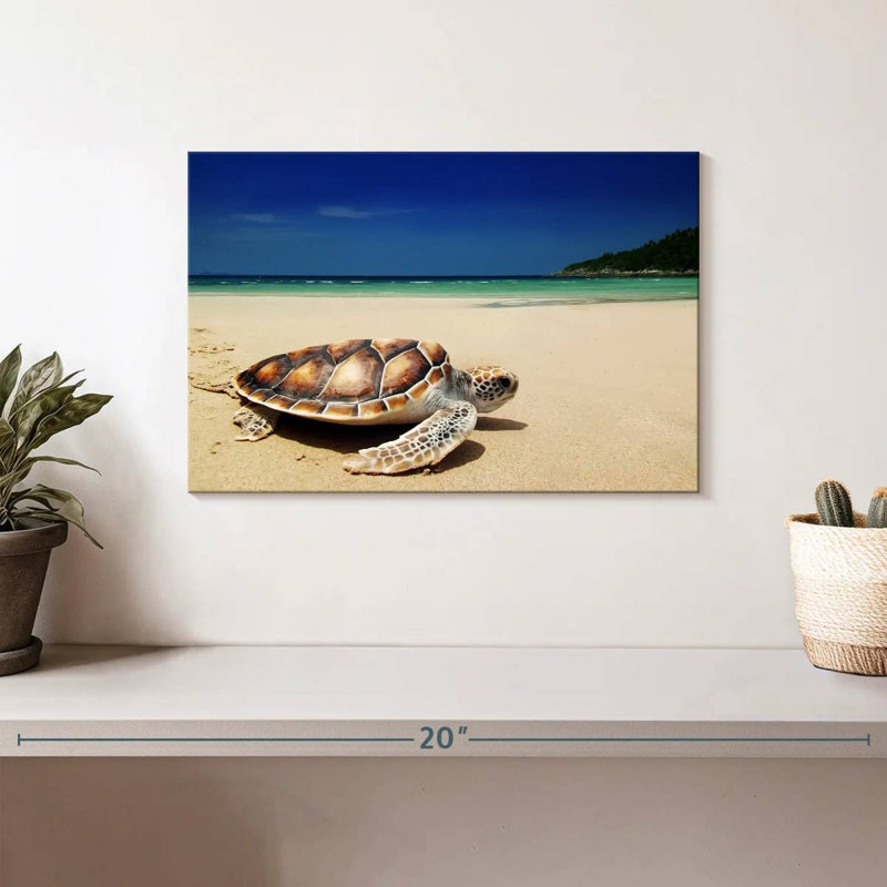 Tortue Brampt sur la plage, H 8 po x l 12 po