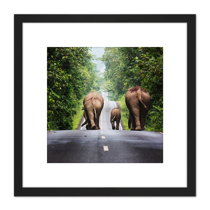 Khunkay Wild Elephants Road Forest Thailand 1 Piece Single Picture Frame Painting