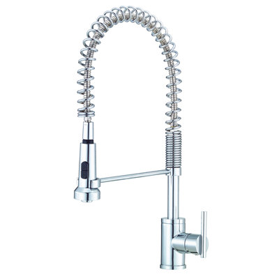 Parma Pull Down Single Handle Kitchen Faucet