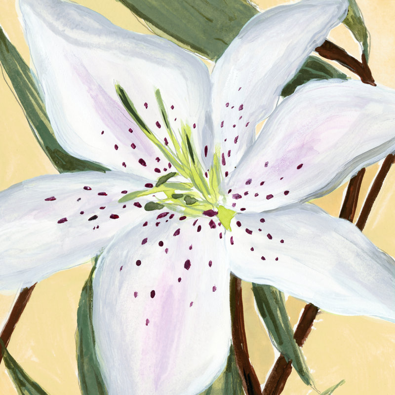 White Lily II by Annie Warren - Wrapped Canvas Painting, 51cm H x 51cm W