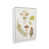 Blanc est en rupture de stock