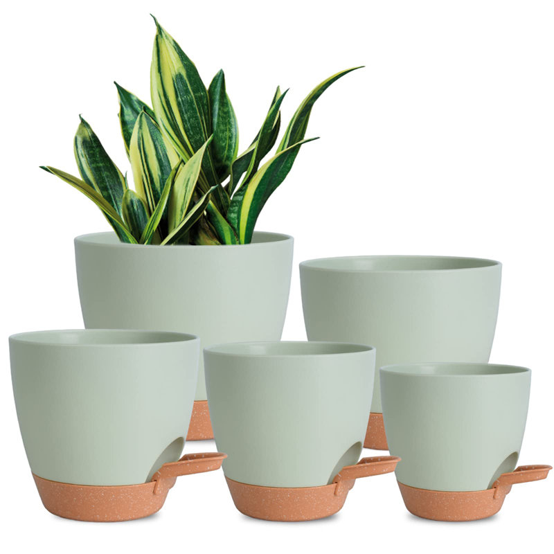Pots de plantes auto-arrosants d'intérieur