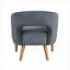 Chaise d'appoint en velours gris anthracite pelucheux, sièges de salon en bois massif pour adultes, 1 pièce