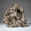 Genuine Natural Fossilized Ammonite Cluster (4.5 Lbs)