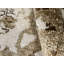 Willemien Oriental Area Rug