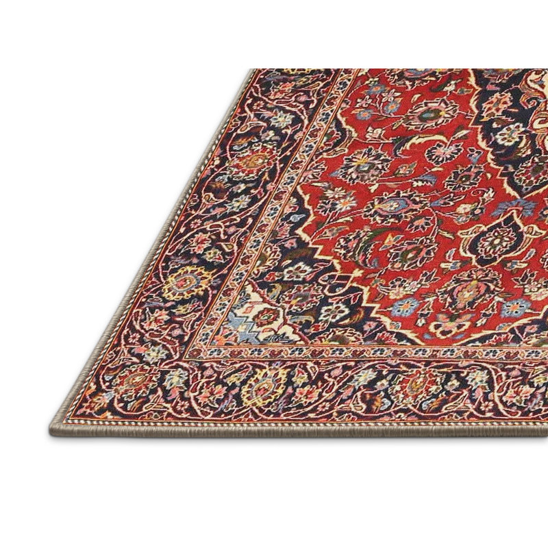 Dabirvaziri Oriental Indoor Rug, Rectangle 2' x 4'
