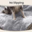 Couvertures pour chien
