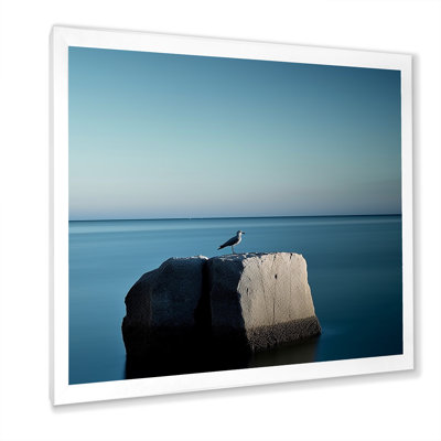 " Coastal Seagul Scenery Minimalism "