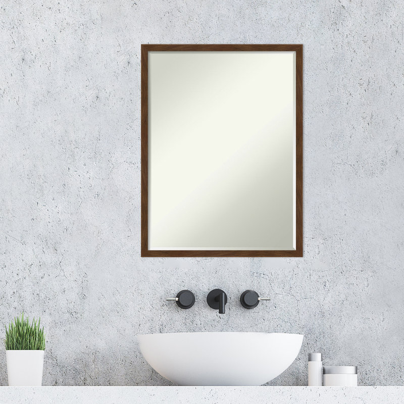 Miroir mural Medan Carlisle, 25 po x 19 po