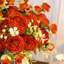 Arrangement-202177413