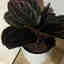 Customer photo 2 of 4